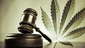 législation cannabis belgique